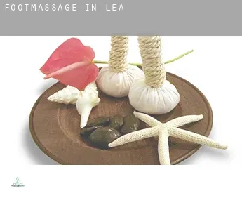 Foot massage in  Lea
